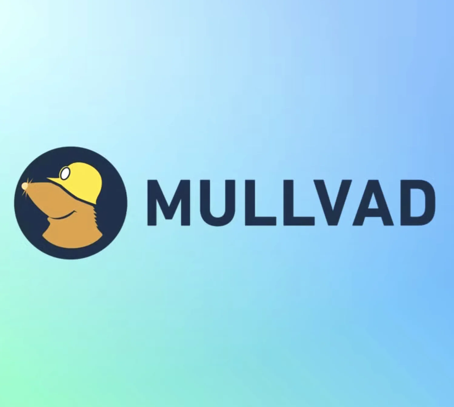 🛡️MULLVAD МУЛЛВАД🕷 ВАУЧЕР 1/6/12 месяцев🕷