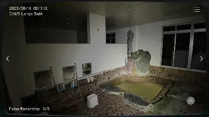 Japan Stigmatized Property АВТОДОСТАВКА STEAM РОССИЯ