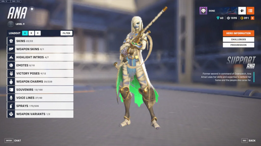 Unique Overwatch Account with lot's of Item's
