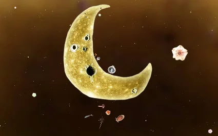 Botanicula. STEAM-ключ (Global)