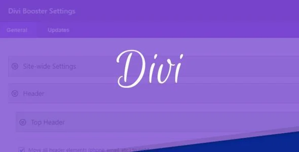 DIVI BOOSTER - оптимизатор DIVI BUILDER для WORDPRESS