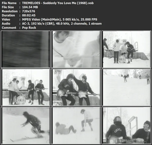 TREMELOES - Suddenly You Love Me