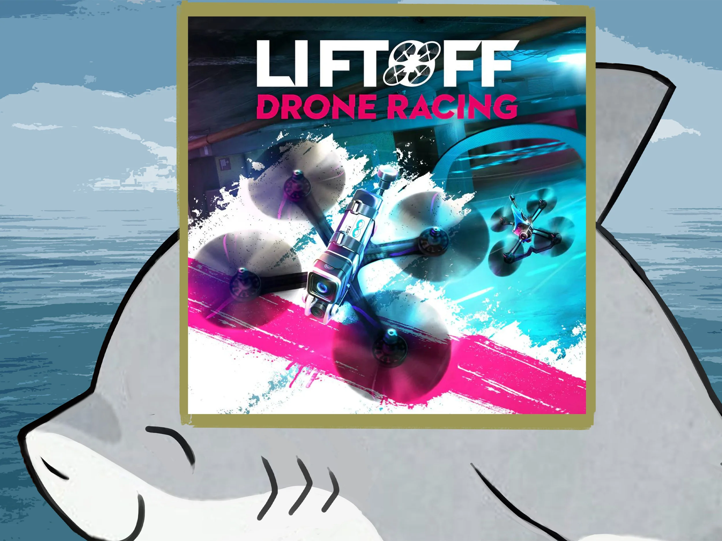 Liftoff: Drone Racing PS4 PS5 п2 п3