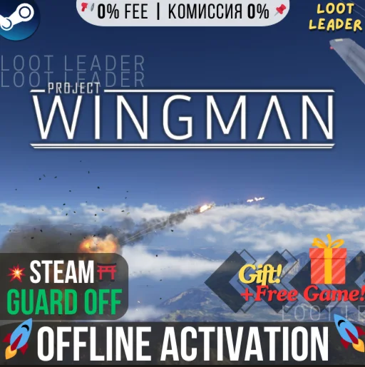 Project Wingman / Steam /Offline +Gift