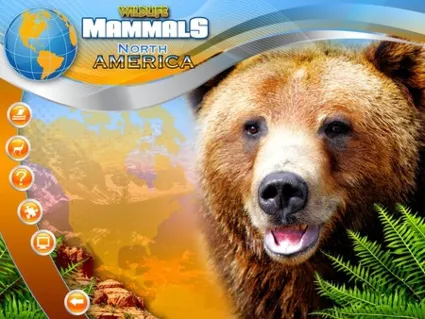 Wildlife Creative Studio 💎 STEAM KEY REGION FREE GLOBAL