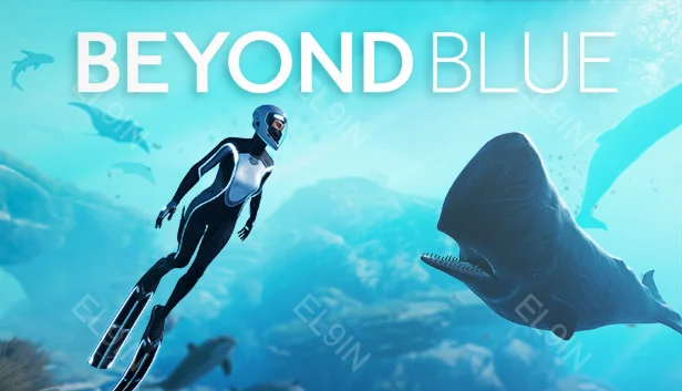 ️【Beyond Blue】