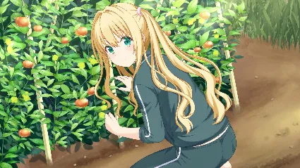 Kono Aozora ni Yakusoku o Refine АВТОДОСТАВКА STEAM РОС