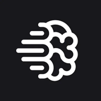 Подписка на Ideogram AI Plus на 1 месяц, общий счет