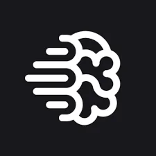 Подписка на Ideogram AI Plus на 1 месяц, общий счет