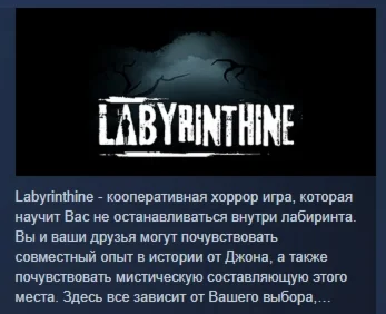 Labyrinthine АВТОДОСТАВКА STEAM РОССИЯ