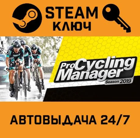 Pro Cycling Manager 2019. STEAM-ключ (Global)