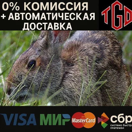 🔥 Warhammer 40,000: Dawn of War-Definitive | Steam РУ+