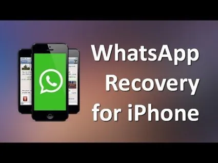Coolmuster iPhone WhatsApp Recovery | Лицензия. Восстановление сообщений история чата