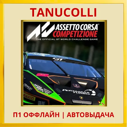 ☀ ️ Assetto Corsa Competizion (PS4/RU) П1 Оффлайн