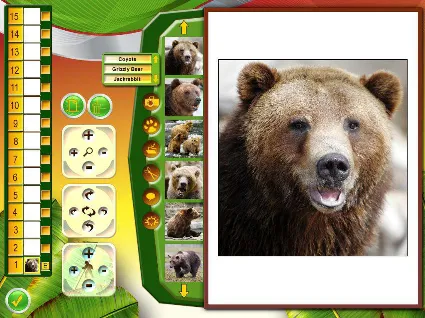 Wildlife Creative Studio Steam КЛЮЧ GLOBAL