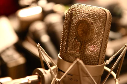 Crusader Kings II - Full Plate Metal DLC Steam КЛЮЧ