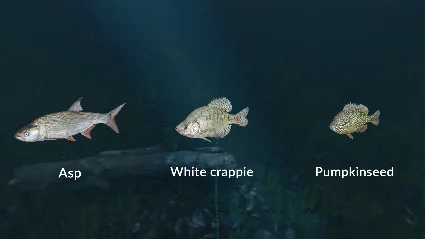 Ultimate Fishing Simulator - New Fish Species DLC Steam