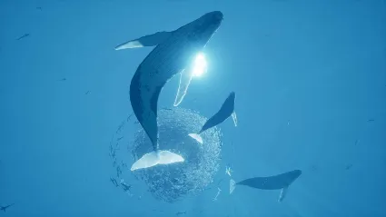 ABZU EU Steam КЛЮЧ ЕВРОПА