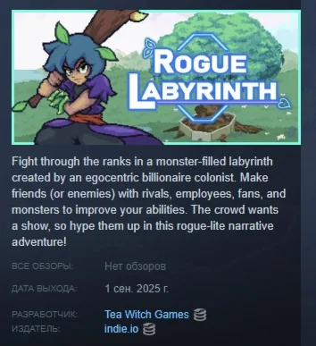 Rogue Labyrinth АВТОДОСТАВКА STEAM РОССИЯ