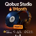 🔥Аккаунт Qobuz Studio 🔥Гаранти — фото 4