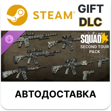 Squad Weapon Skins - Second Tour Pack Steam DLC