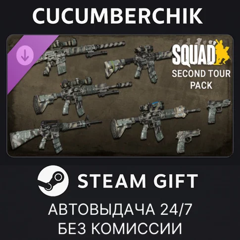 Squad Weapon Skins - Second Tour PackSTEAM GIFT AUTO
