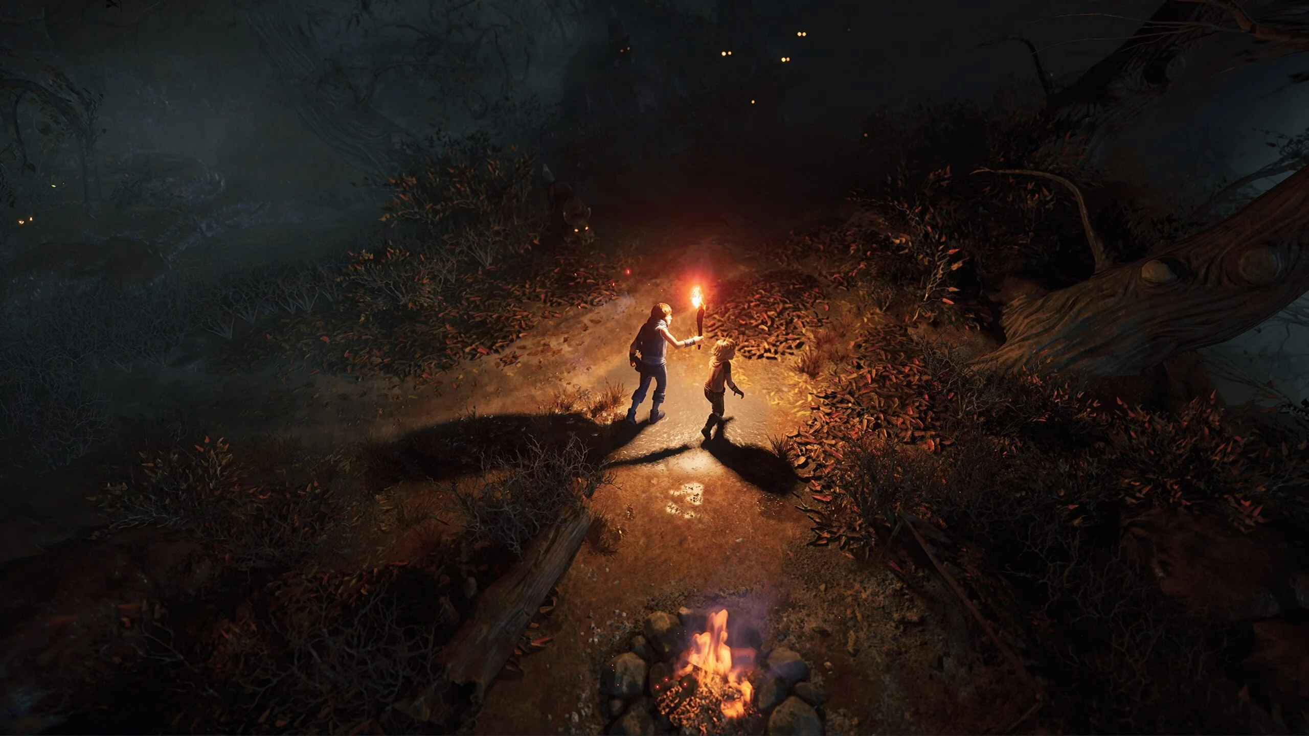 Brothers A Tale of Two Sons PS4/PS5 | P2/P3