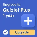 Quizlet Plus | Подписка на 1/1 — фото 1