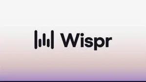 Wispr Flow Pro — 1 год владения | Голосовая диктовка на