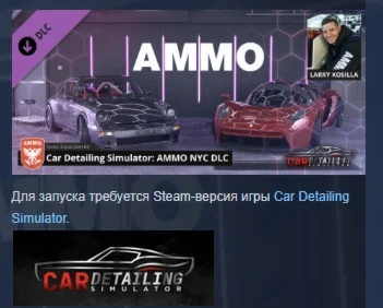 Car Detailing Simulator - AMMO NYC DLC STEAM РОССИЯ
