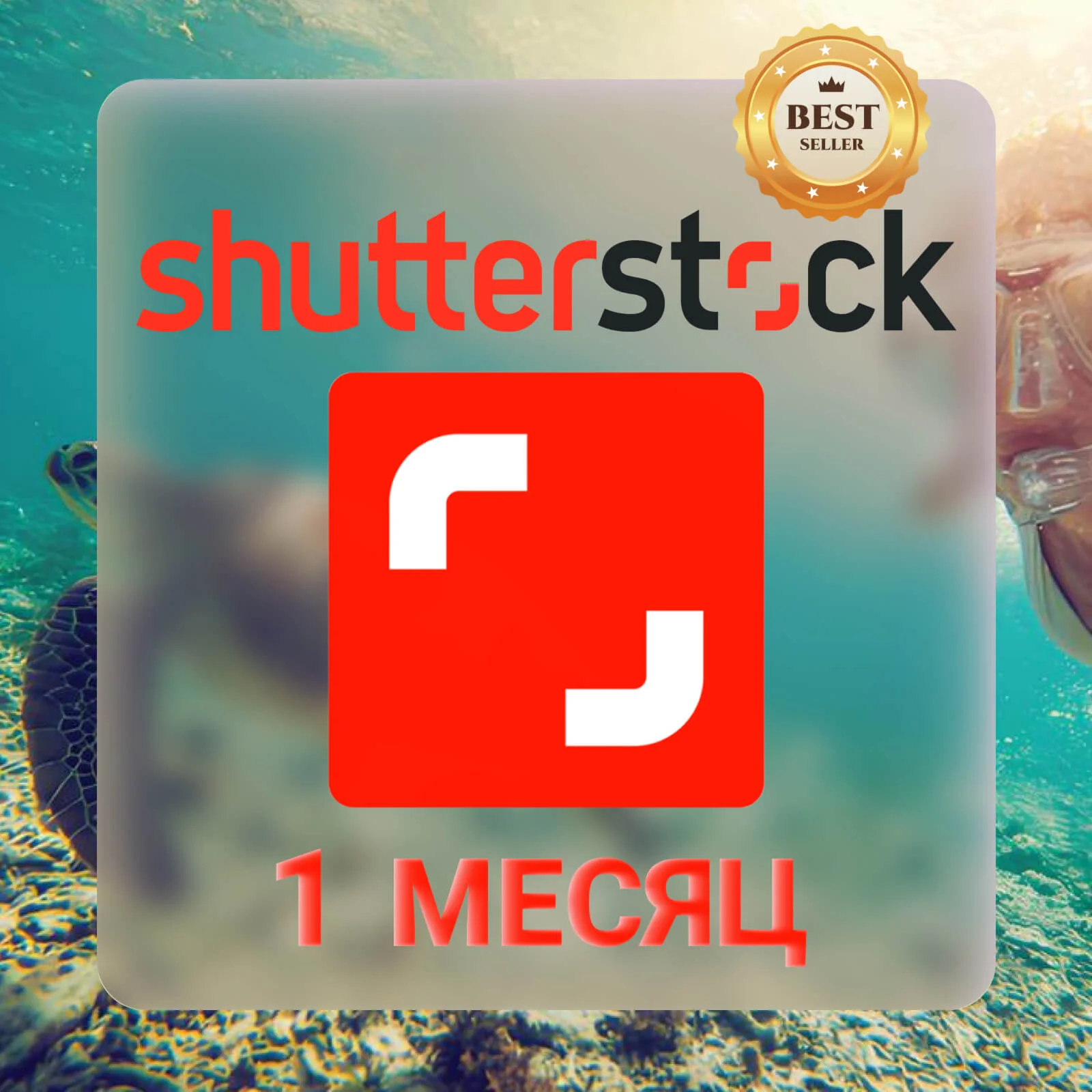 SHUTTERSTOCK —30 ДНЕВНАЯ ЛИЦЕНЗИЯ НА ЗАГРУЗКУ  ️
