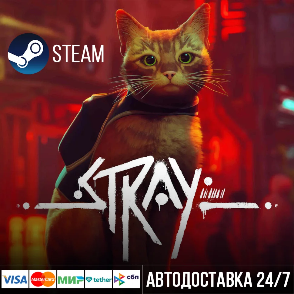 Stray Steam Gift/Стрэй Стим