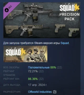 Squad Weapon Skins - Precision Strike Pack DLC STEAM РФ