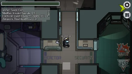 Among Us US Steam КЛЮЧ США