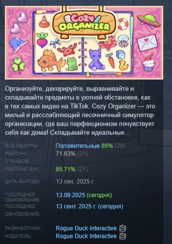 Cozy Organizer АВТОДОСТАВКА STEAM РОССИЯ
