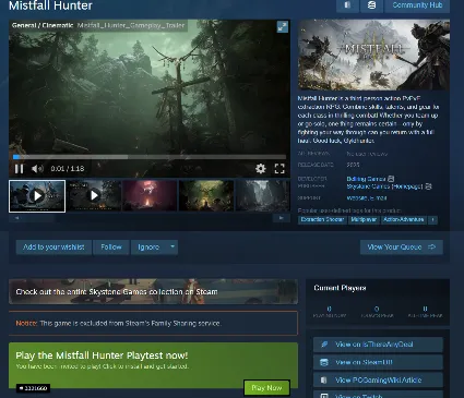 Mistfall Hunter Playtest 16 сентября 【STEAM аккаунт】