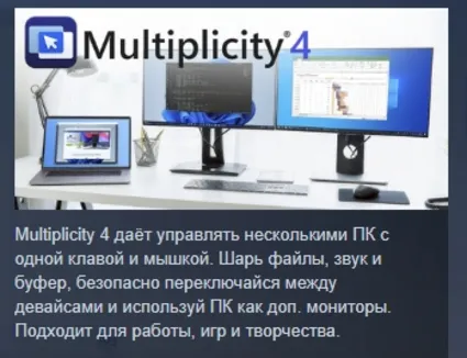 Multiplicity 4 АВТОДОСТАВКА STEAM РОССИЯ