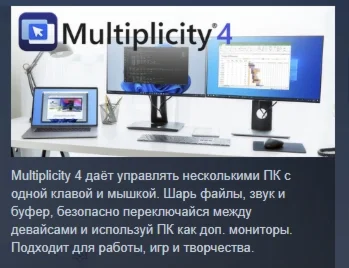 Multiplicity 4 Pro АВТОДОСТАВКА STEAM РОССИЯ