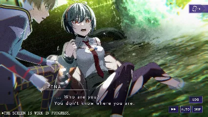 Type-NOISE: Shonen Shojo АВТОДОСТАВКА STEAM РОССИЯ