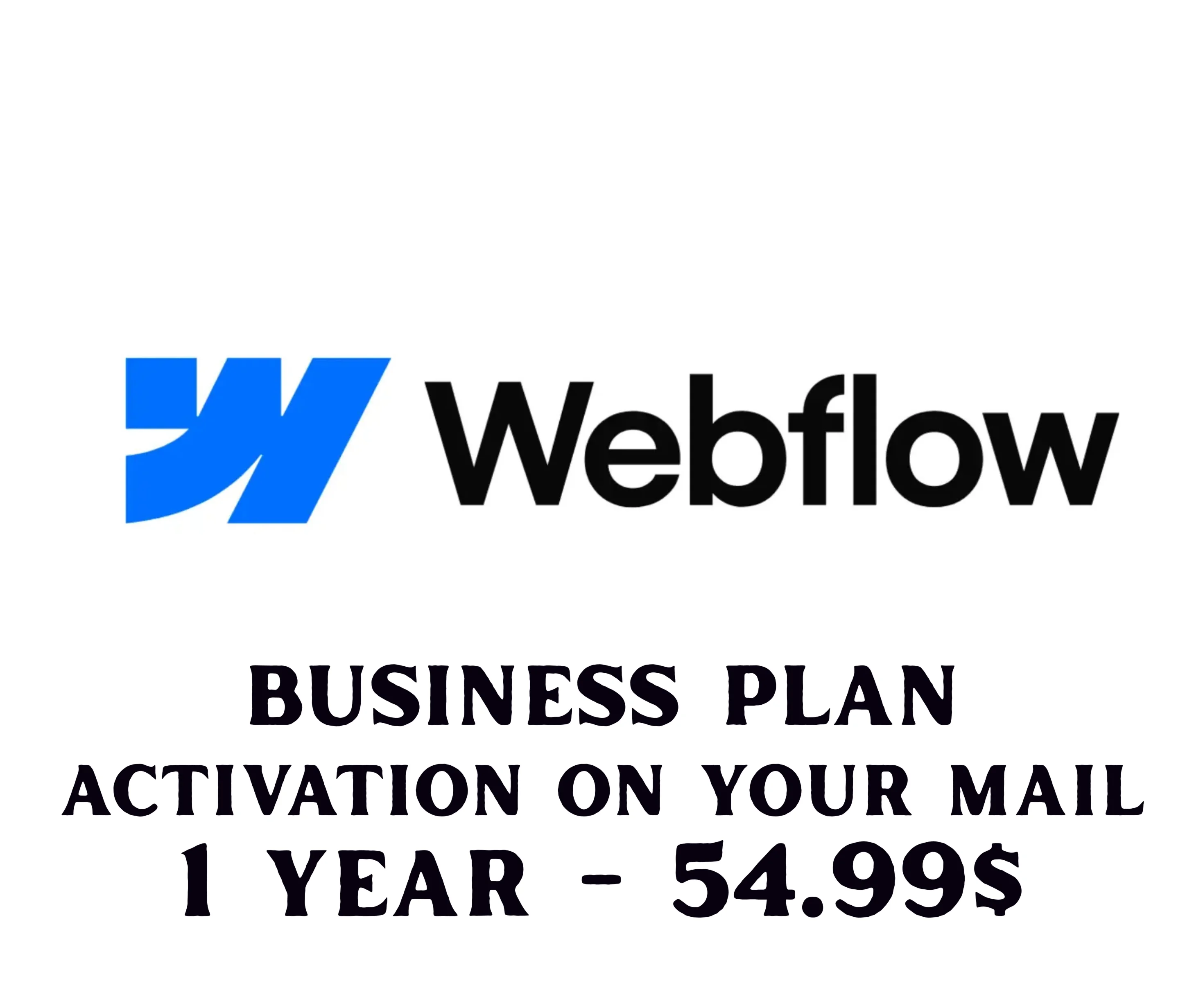 Бизнес-план Webflow на 1 год ГАРАНТИИ - 54,99$