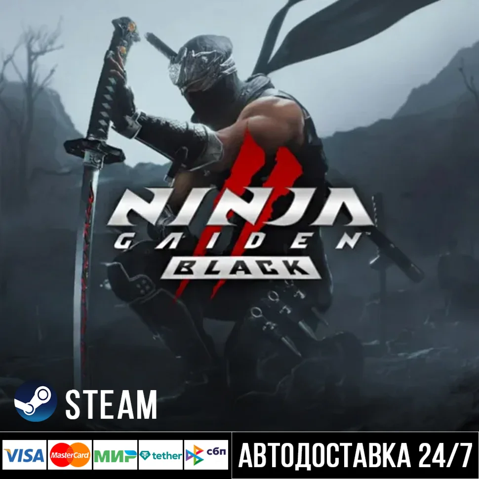 NINJA GAIDEN 2 Black СТИМ Steam Gift