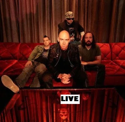 Видеоколлекция в качестве DVD. 