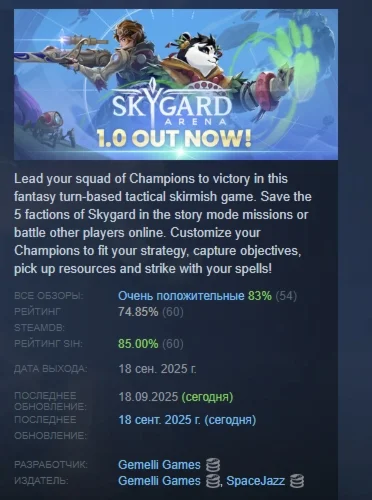 Skygard Arena АВТОДОСТАВКА STEAM РОССИЯ