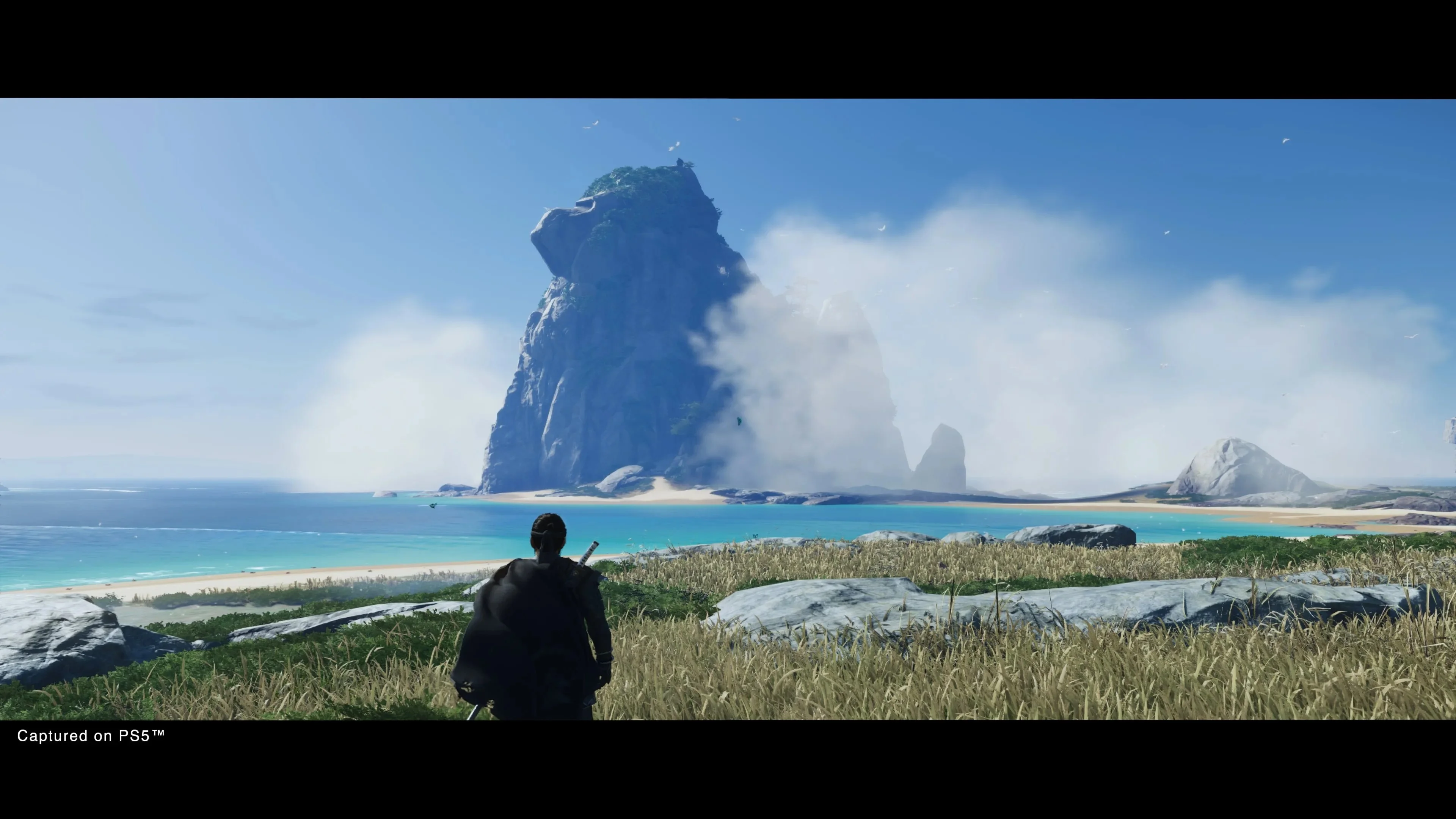 Ghost of Tsushima DIRECTORS CUT PS4/PS5 | P2/P3