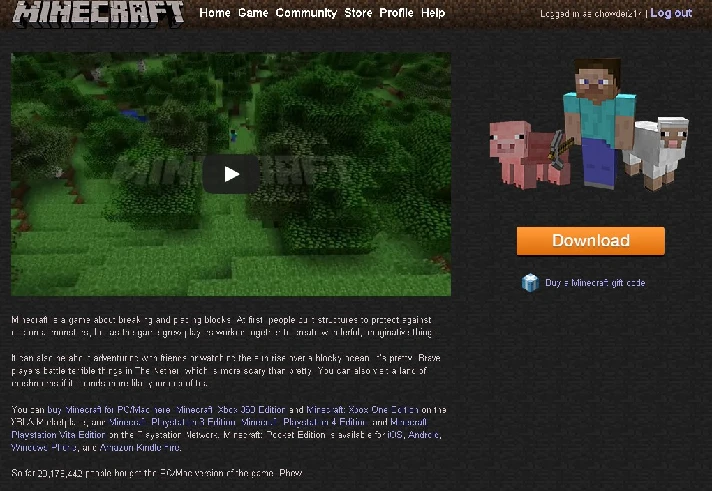 Minecraft (Premium account) + Skin + Site