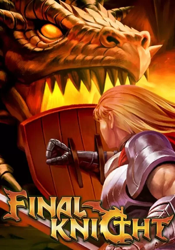 Final Knight КЛЮЧ STEAM ВСЕ СТРАНЫ