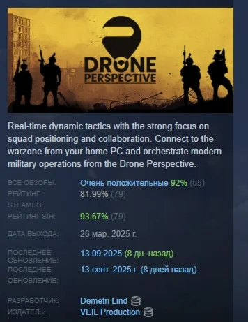 DRONE PERSPECTIVE АВТОДОСТАВКА STEAM РОССИЯ