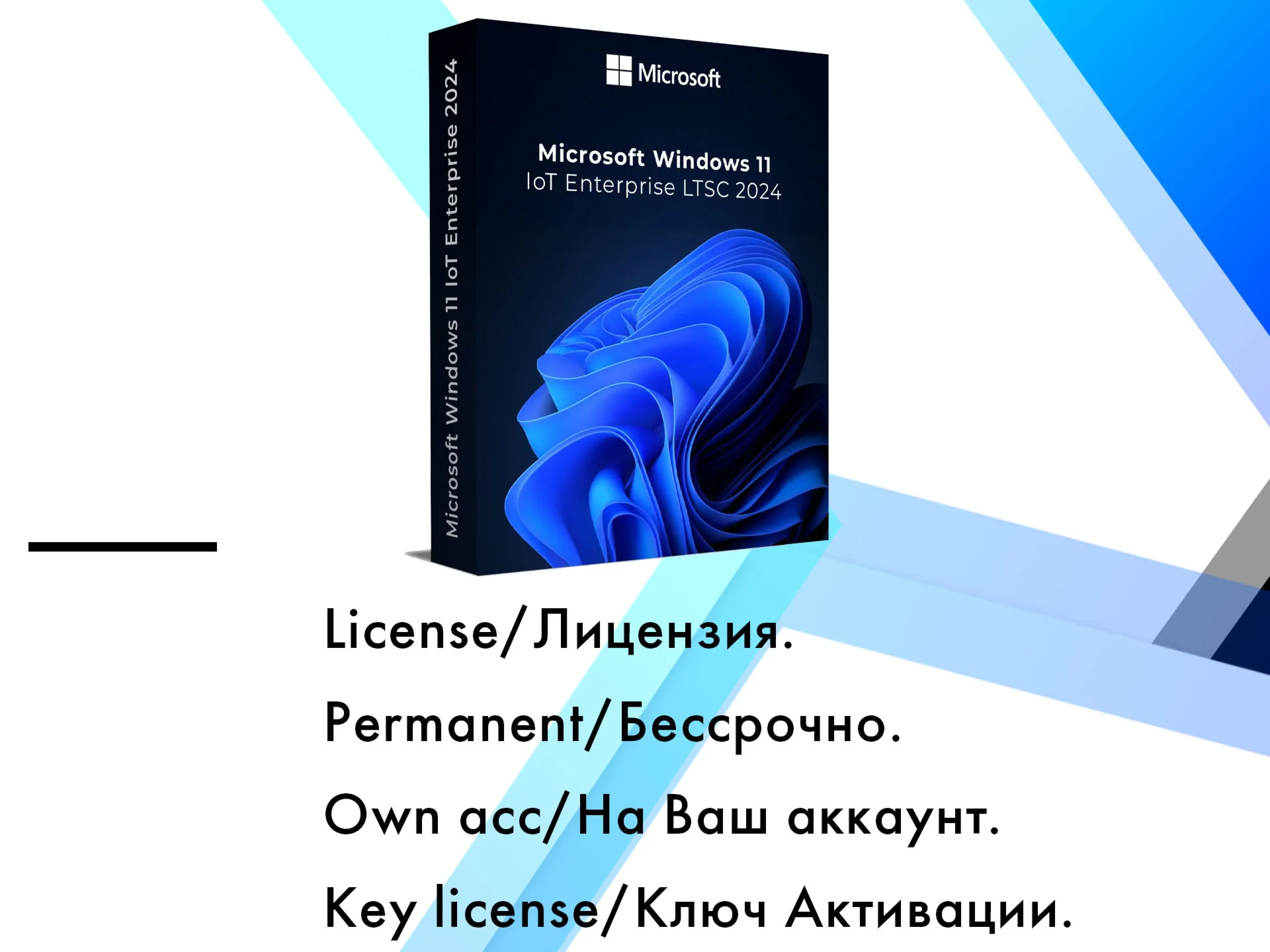 Windows 11 IoT Enterprise ltsc 2024