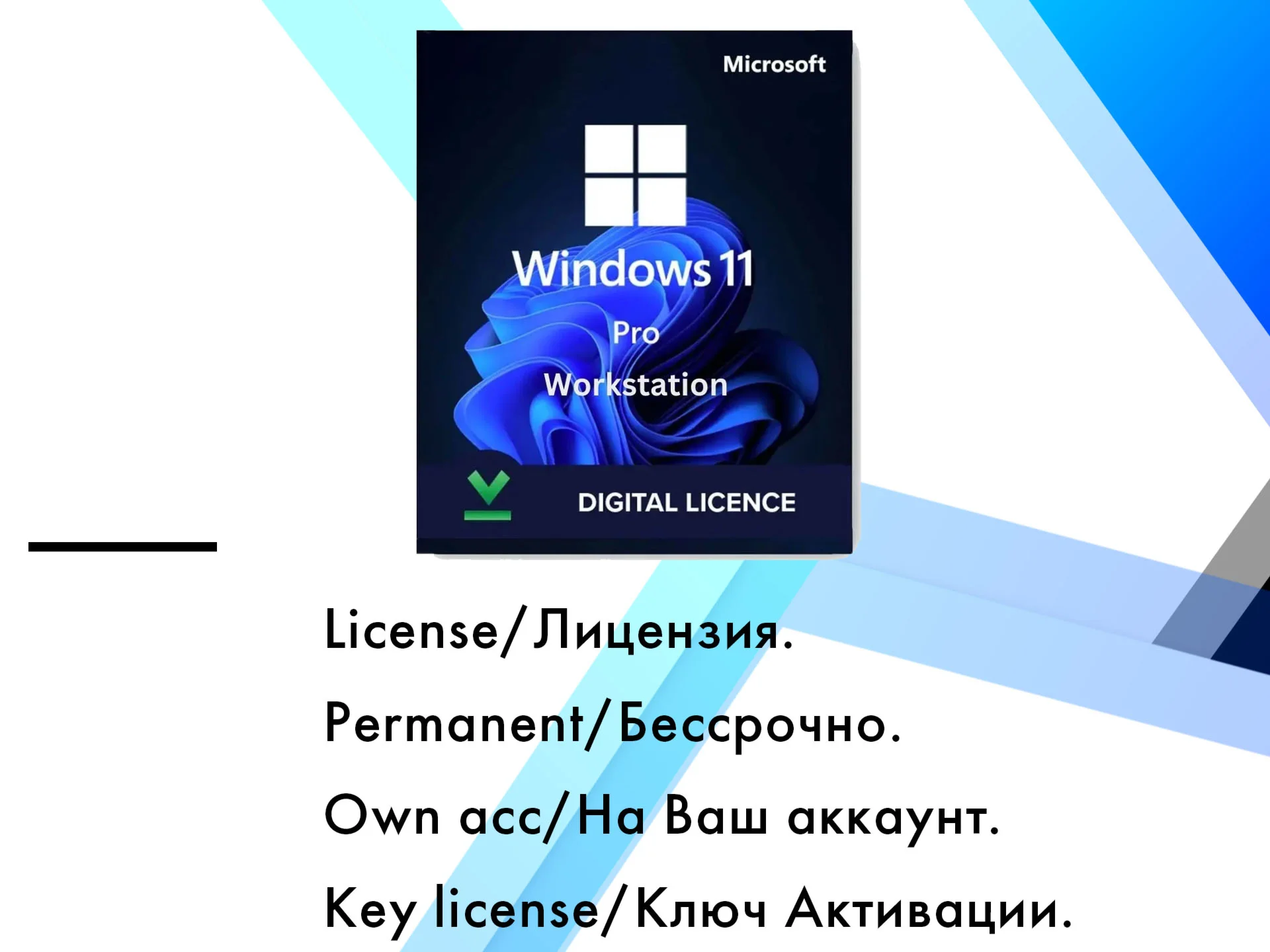 Windows 11 Pro for WorkStations