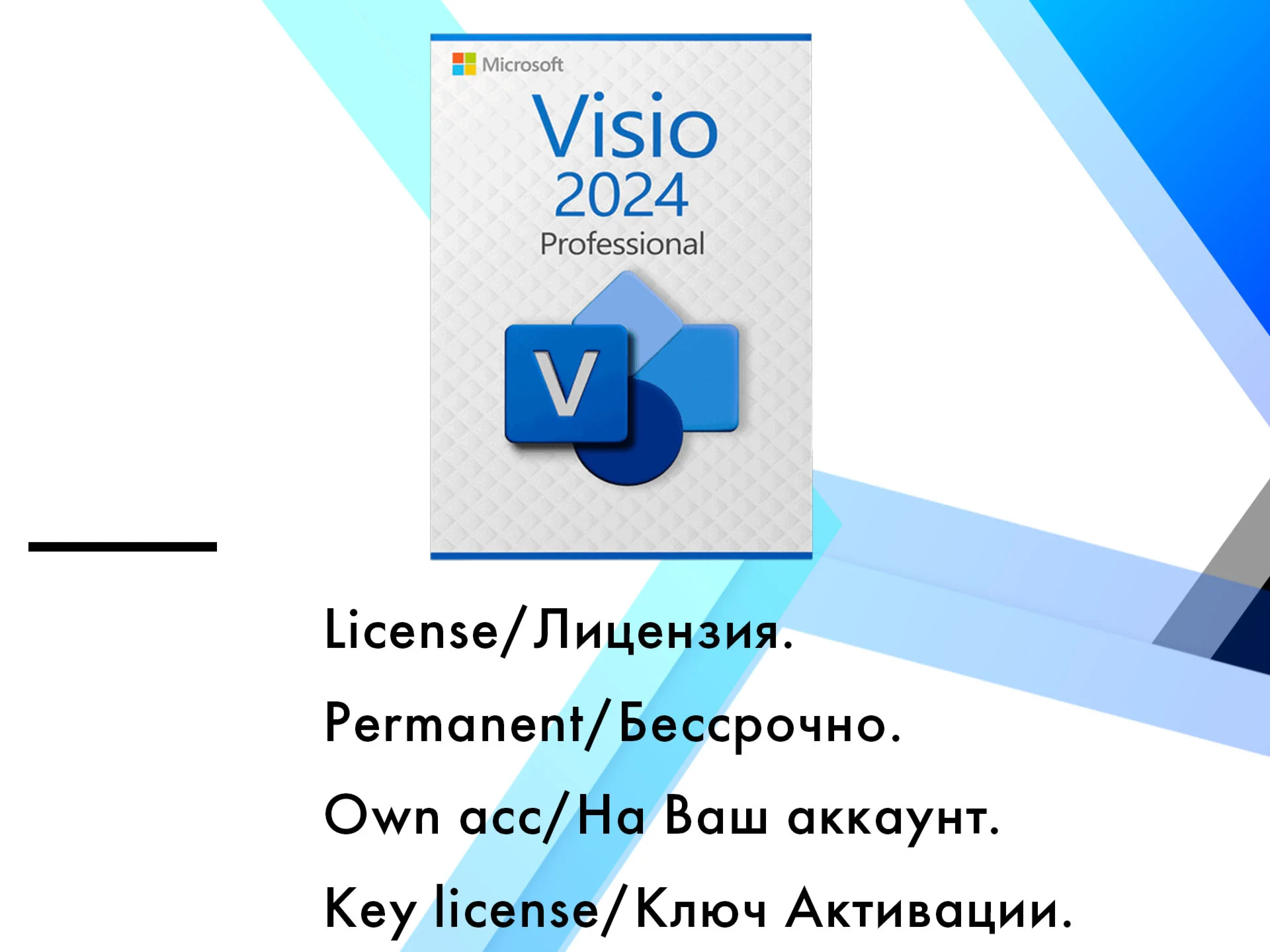 Microsoft Visio Professional 2024